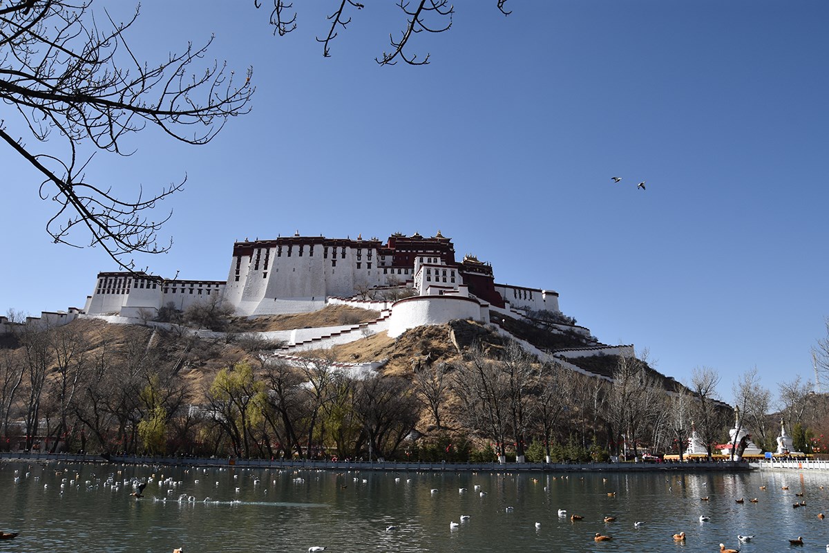 Dragon King Pool and Potala