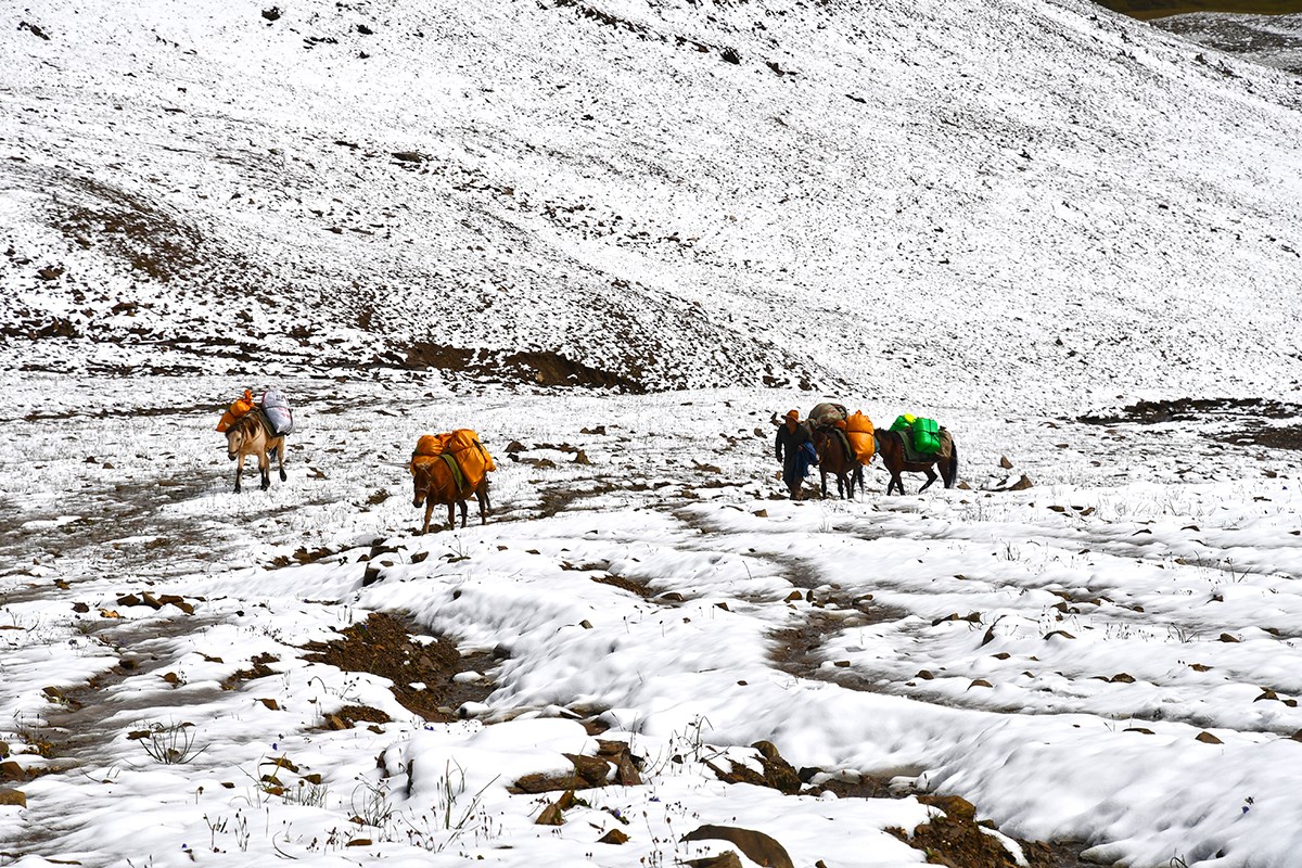 Trekking at Gongga Mountain | Photo by Liu Bin
